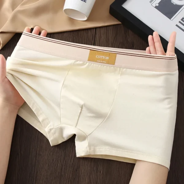 3 pçs roupa interior masculina algodão boxershorts hombre calcinha homem respirável sexy esportes conforto masculino boxers tamanho L-4XL - Imagem 3