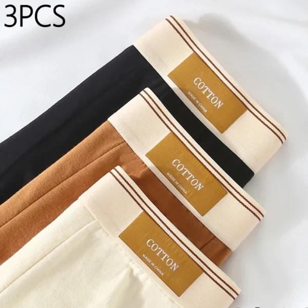 3 pçs roupa interior masculina algodão boxershorts hombre calcinha homem respirável sexy esportes conforto masculino boxers tamanho L-4XL - Imagem 2